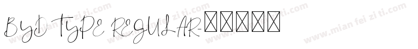 BYD TYPE REGULAR字体转换